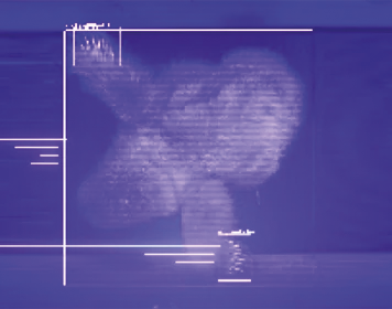 IMG-Genesys-GenderSo